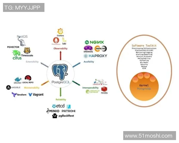 探索pg国际向量数据库系统的应用与发展前景分析