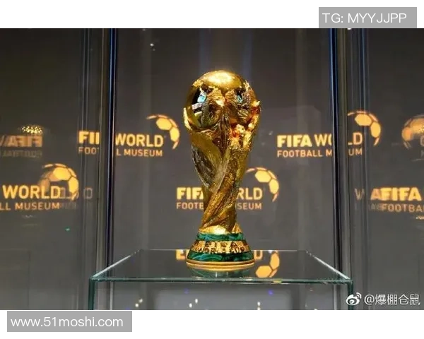 2026世界杯盈利分配与投资策略的全面分析与展望